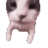 pepedb 18
