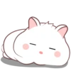 White hamster 2  .MOV 12