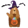 Hallowpet   1 Movi 16