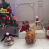 Animals in Christmas 3  MOV 20