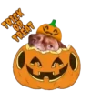 Hallowpet   1 Movi 17