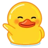 Duck Duck 17