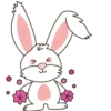 ️Bunny mix  MOV 20