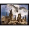 HARRY POTTER 21