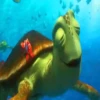Finding Nemo 23