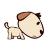 TEDDY DOG. mov 11