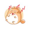 Tierno conejito 13