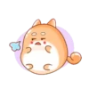 Tierno conejito 14