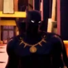 Black Panther Mov 17