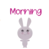 Rabbit Lolita     (Mov) 17