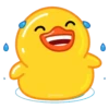 Duck Duck 22