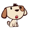 TEDDY DOG. mov 12
