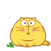 Kitty Sleep. Mov 21