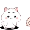 White hamster 2  .MOV 19