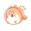 Tierno conejito 16