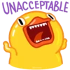 Duck Duck 24