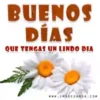 BUENOS DIAS 26