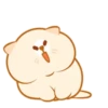 Kitty Sleep. Mov 23