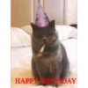 KittyParty 24
