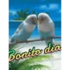 BUENOS DIAS 29