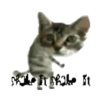 KittyParty 25