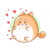 Tierno conejito 21