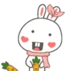 ️Bunny mix  MOV 26