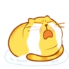 Kitty Sleep. Mov 25