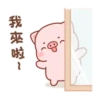 可愛豬豬的日常2 21