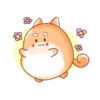 Tierno conejito 23