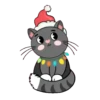 Merry Christmas  ️ . mov 29