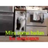 KittyParty 27