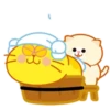 Kitty Sleep. Mov 29