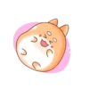 Tierno conejito 24