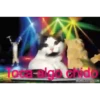 KittyParty 28