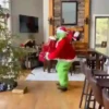 Animals in Christmas 3  MOV 28