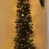 Animals in Christmas 3  MOV 29