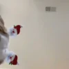 Animals in Christmas 3  MOV 30