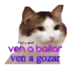 KittyParty 29