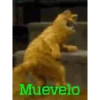 KittyParty 30