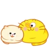 Kitty Sleep. Mov 30