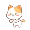 ️Orange Cat  MOV 5