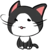 Grey Kitten (mov)  ‍ 5
