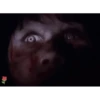 Hallowe administrador 2 6