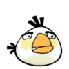 Angry birds 6