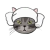 Grey Kitten (mov)  ‍ 6