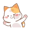️Orange Cat  MOV 6