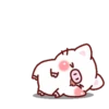 Laxi Pig Mov. 5