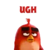 Angry birds 7