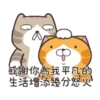 白爛貓31金勾杯動態 5